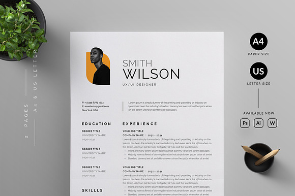 Resume/CV preview 7