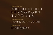 Mefons Elegant Serif Font, a Serif Font by Graphicxell (Thumbnail 7 of 8)