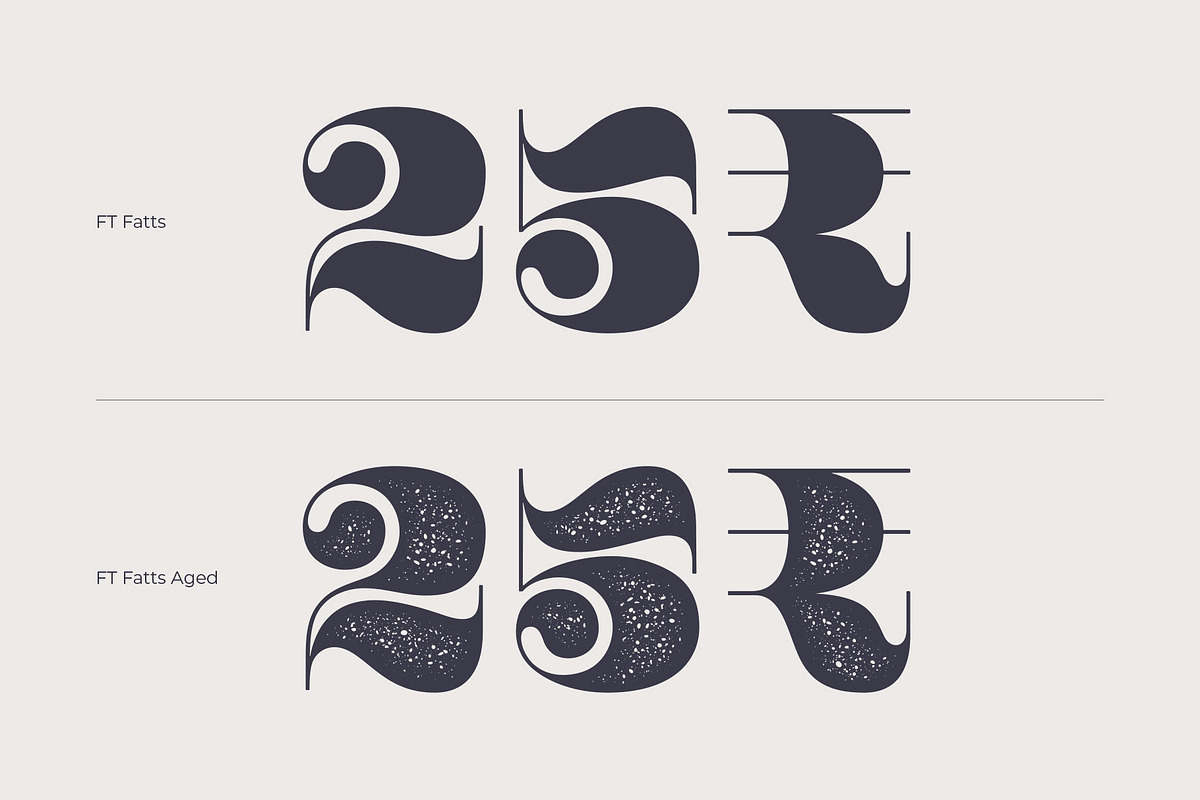 Fatts, a Serif Font by Foxys Type (Photo 5 of 6)