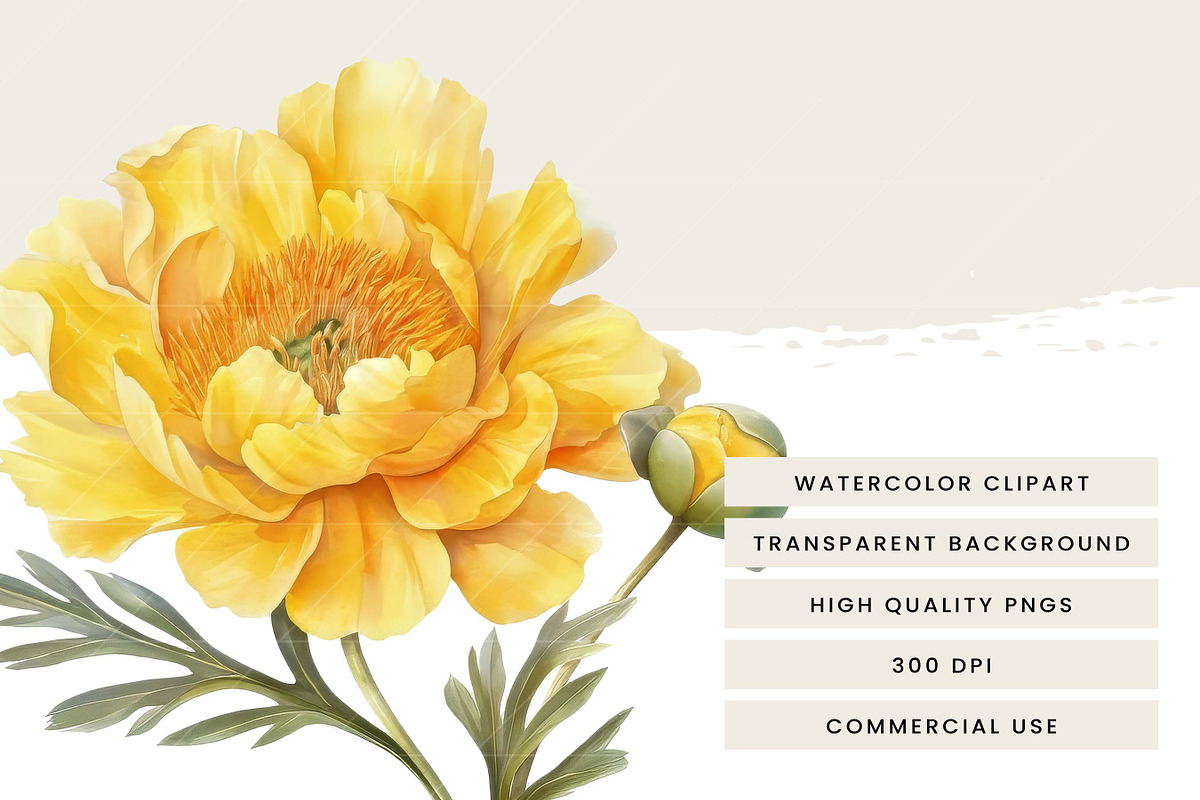 Watercolor Yellow Flower Clipart, an Object Illustration by Design Scotch (Photo 6 of 7)