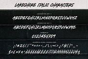 Lakeshore Brush Font, a Font by Greg Nicholls (Thumbnail 8 of 8)