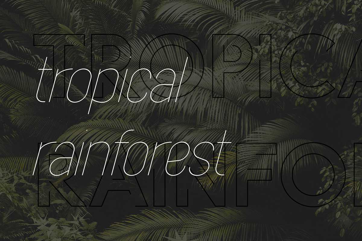 Azora typeface for branding and text, a Sans Serif Font by VP Fonts (Photo 4 of 20)