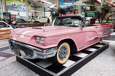 Pink Thunderbird preview 4