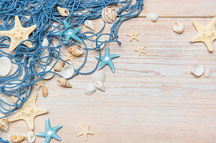 Fishing net, seashells, and starfishes creating a seaside border