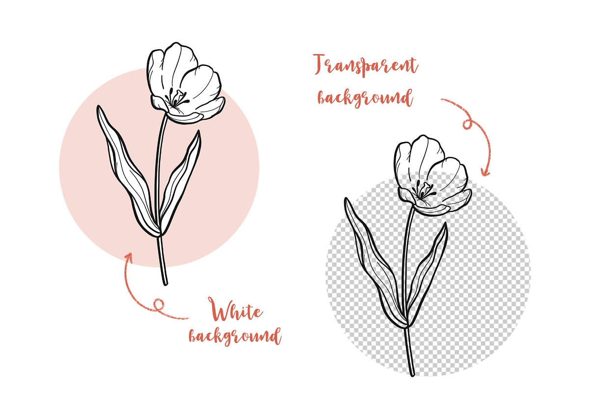 Tulip Line Art, Botanical SVG & PNG, an Object Graphic by ArtGiftsStudio (Photo 5 of 6)