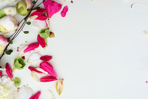 Styled stock photo  spring flowers containing styled stock, photograph, and