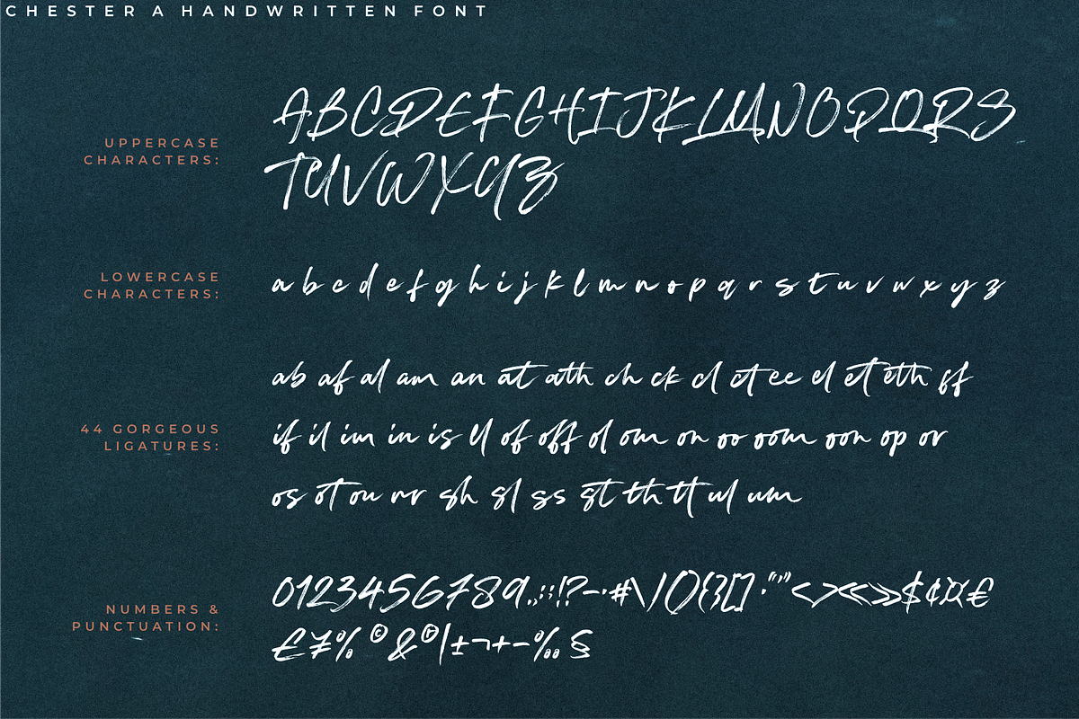 Chester – Handwritten Brush Font, a Script Font by RedyStudio (Photo 13 of 13)