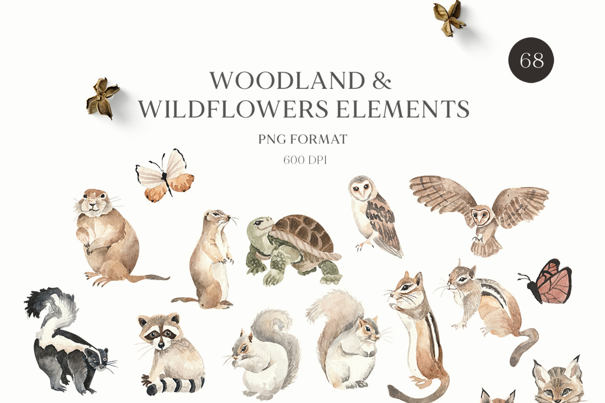 Watercolor Forest Woodland animals, an Animal Illustration by Grace Noboa Illustrations (Photo 7 of 10)