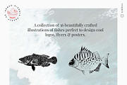 Vintage Bundle - 6600+ Illustrations, an Animal Illustration by Nomad Visuals (Thumbnail 38 of 45)