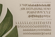 Qedgan Mellodysta A Modern Font Duo, a Serif Font by Storytype Studio (Thumbnail 14 of 15)