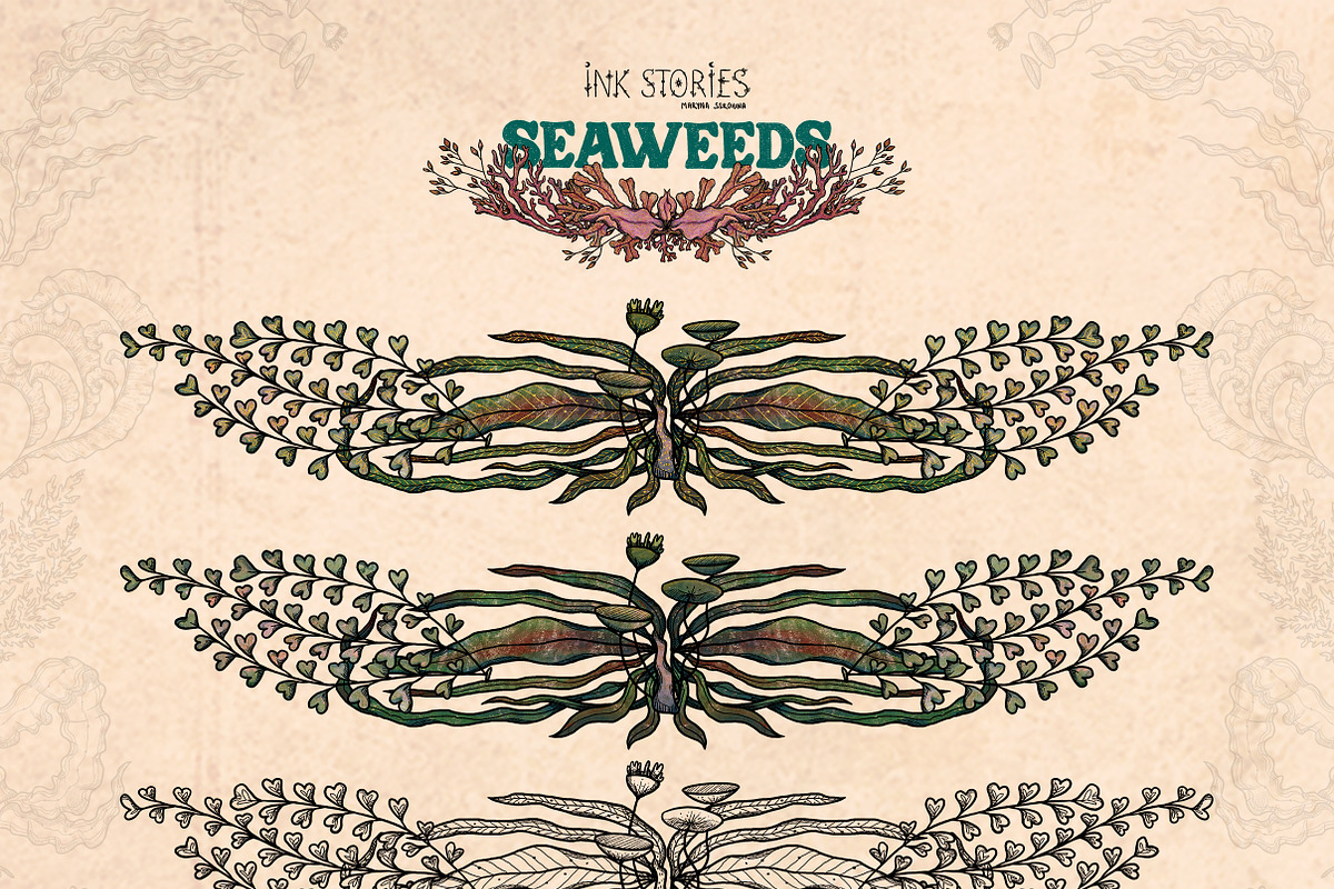 Seaweeds, an Object Illustration by Ink Stories (Photo 18 of 24)
