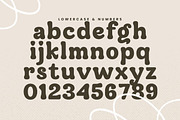 Hadlen - Playful Retro Serif, a Serif Font by Variatype (Thumbnail 7 of 19)