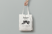 Hand Drawn Herbs & Spices, a Food Illustration by Linseed Studio (Thumbnail 3 of 10)