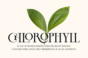 Cheqa a Luxury & Elegant Serif, a Serif Font by Lettertype Studio (Thumbnail 2 of 15)