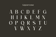 Bloofiqt, a Serif Font by Rishsketch (Thumbnail 8 of 13)