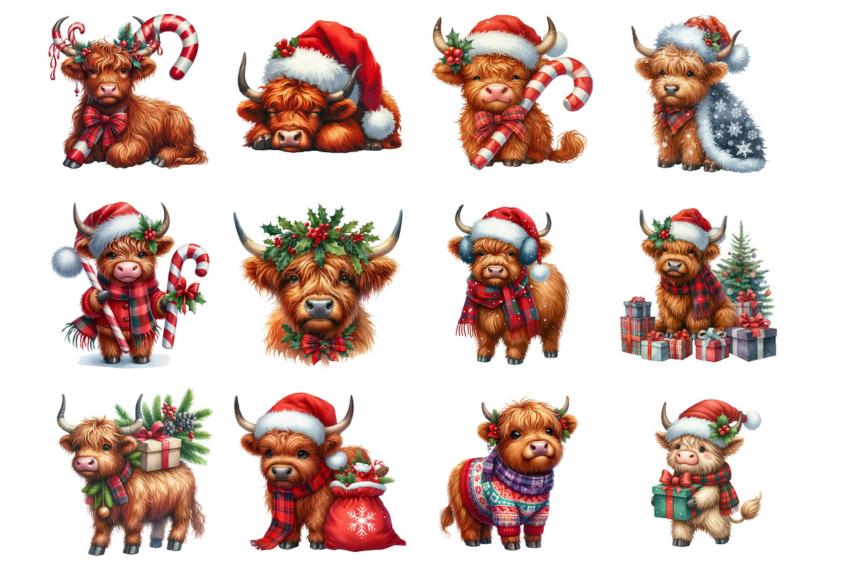 Christmas Highland Cow, an Illustration by Design Market (Photo 3 of 4)