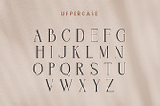 Blatherskite, a Serif Font by Rishsketch (Thumbnail 7 of 12)