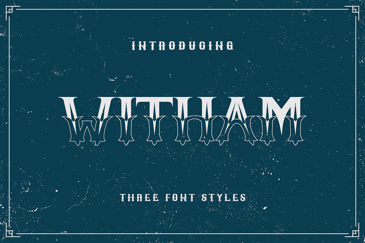 Witham Family, a Sans Serif Font by BrandSemut (Photo 1 of 5)