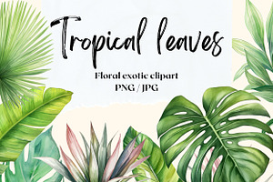 Tropical leaves patterns and element