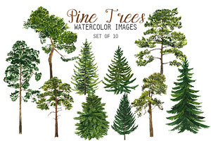 Watercolor Pine Trees Clipart