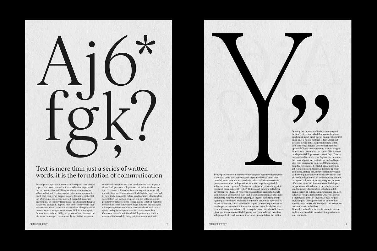 Silk Serif Text - 14 Font Family, a Serif Font by Silktype (Photo 2 of 14)
