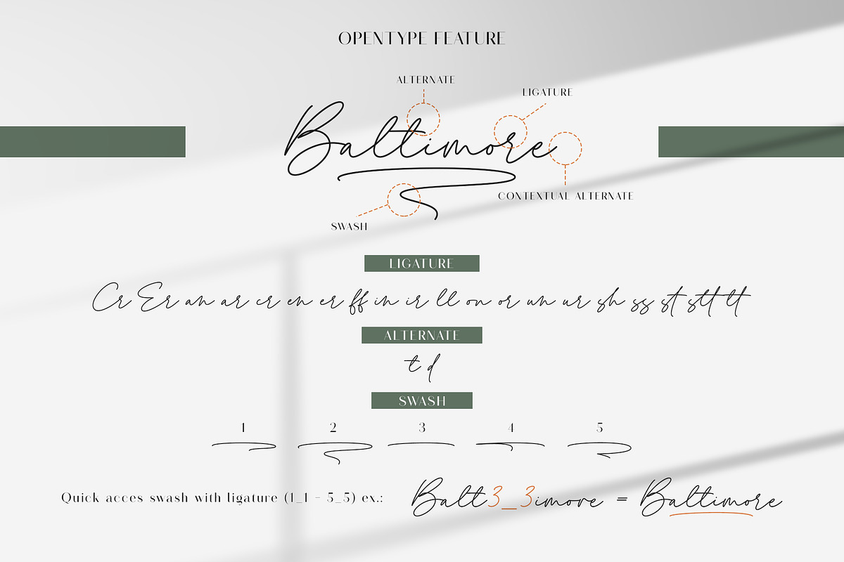 Royal Ambition | Font Duo, a Script Font by Lemonthe (Photo 6 of 7)