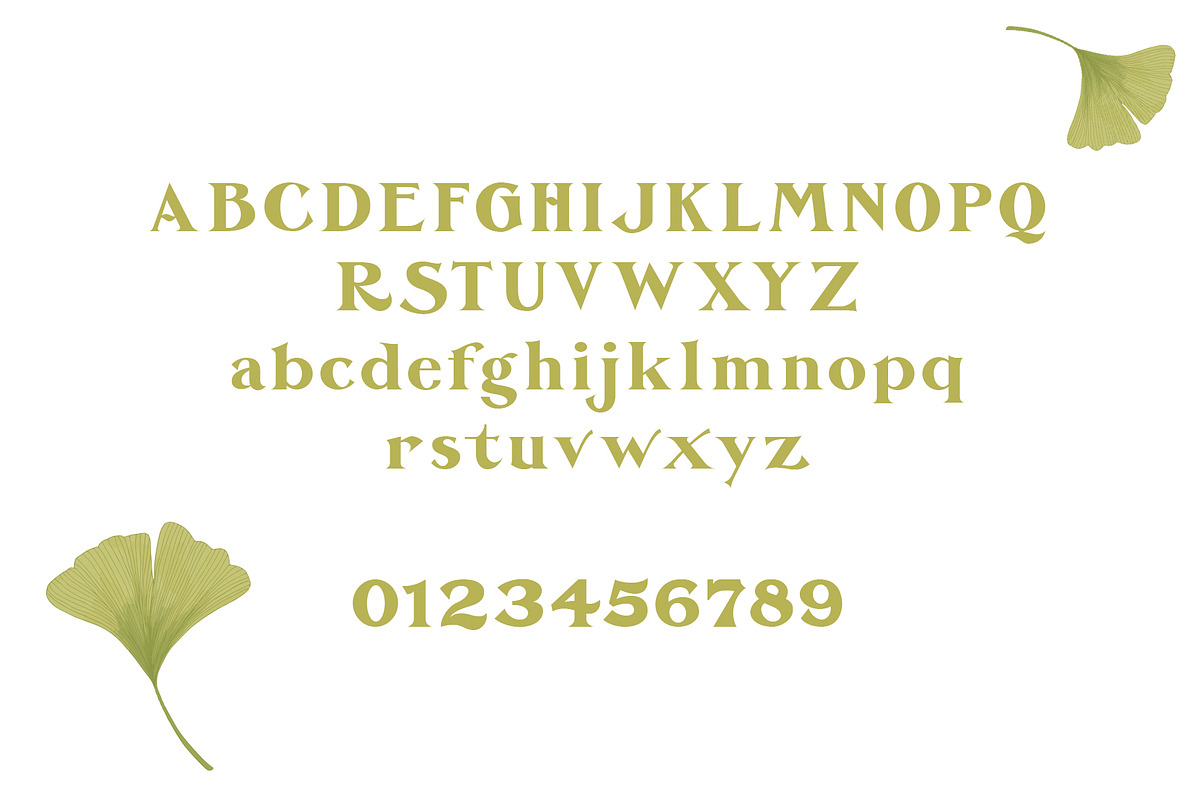 De Ginkgo, a Serif Font by Emyself Design (Photo 11 of 16)