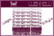 Endangered Beauty font, a Sans Serif Font by weknow (Thumbnail 7 of 8)