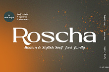Roscha | Modern Serif Font Disc 50%