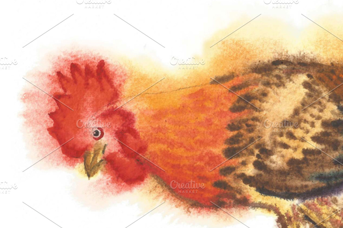 Watercolor Roosters, a Decorative Illustration by Nataliapiache (Photo 4 of 6)