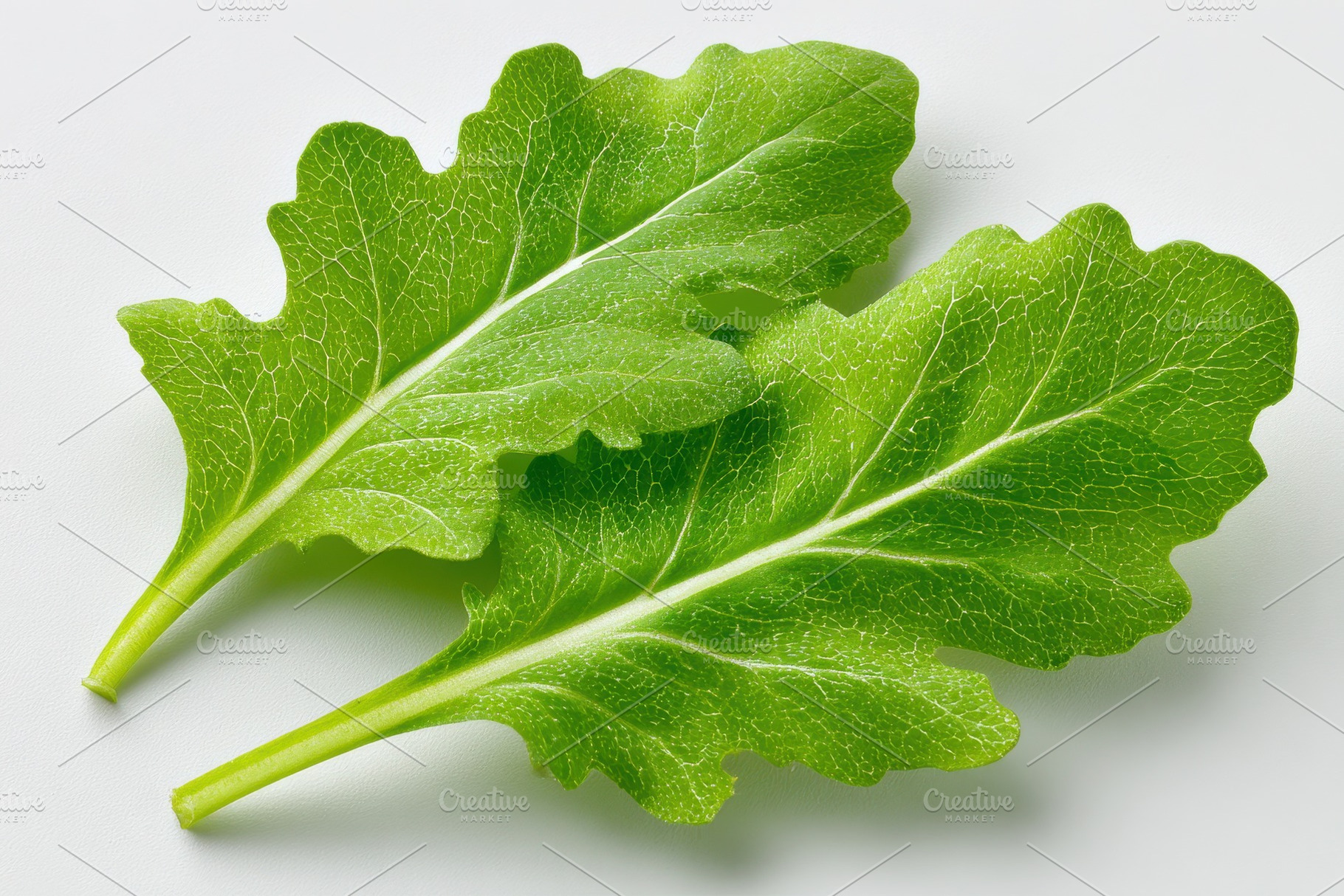 Fresh Green Lettuce Leaves Closeup S, a Photo by Pixeness Studio