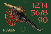 Roygen Elegant Sans Serif Display, a Sans Serif Font by timelesstype.co (Thumbnail 17 of 20)
