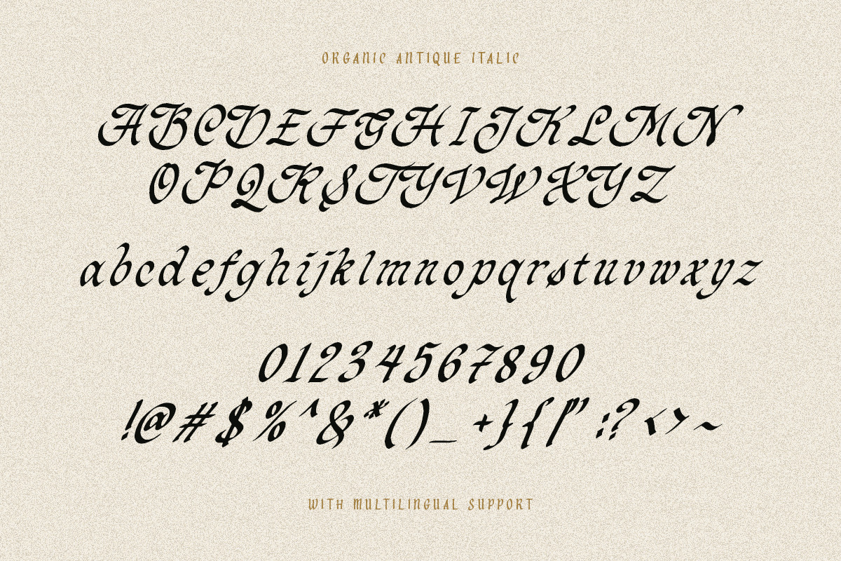 Organic Antique - Blackletter Fonts, a Blackletter Font by Sarid Ezra (Photo 8 of 10)