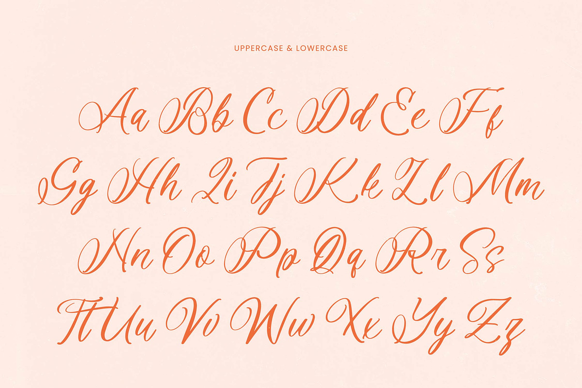 Denieda Marceline Bold Calligraphy, a Script Font by Letterena Studios Script (Photo 4 of 15)