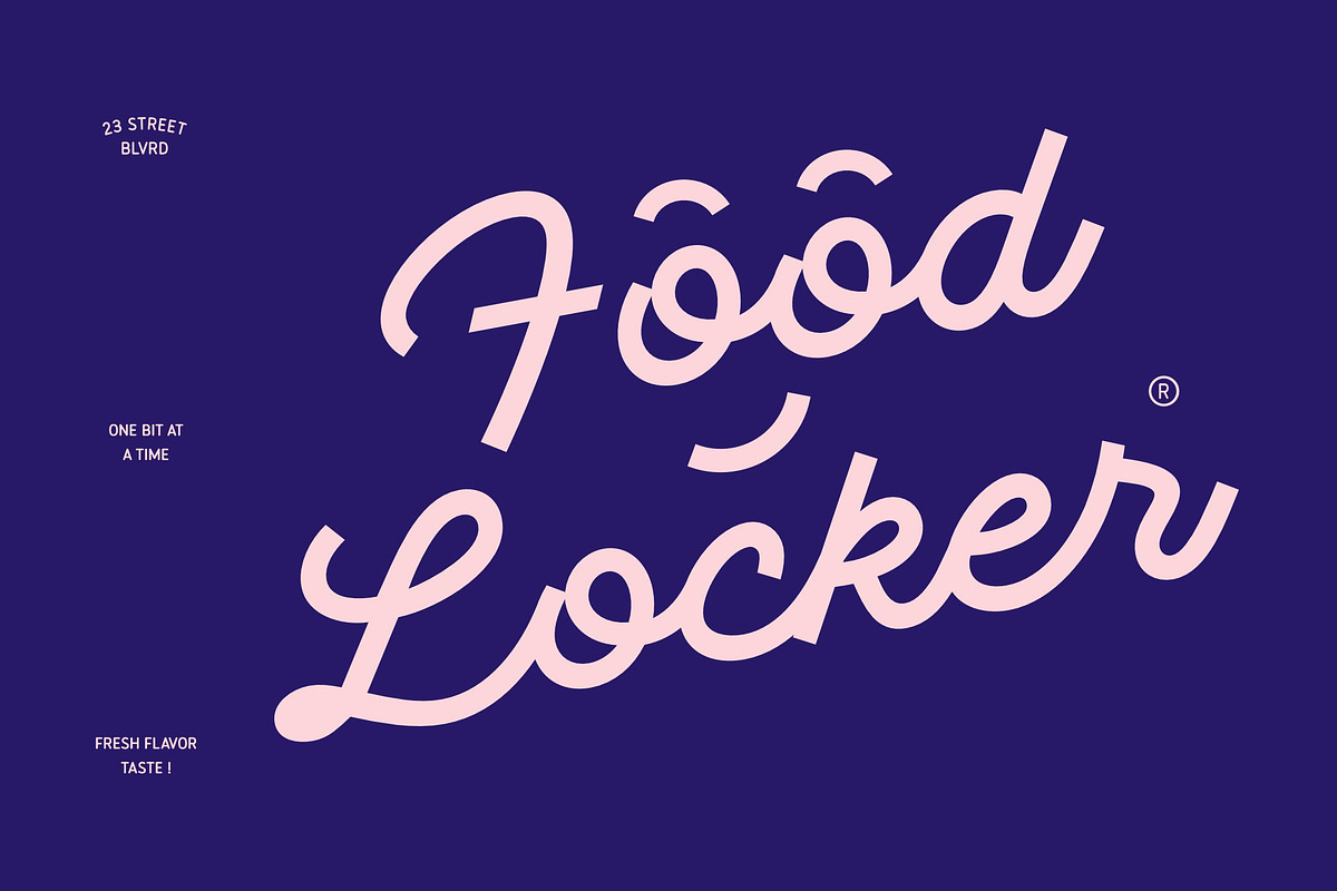 Monoliner, a Font by Swandtype (Photo 4 of 7)
