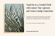 Writer’s Mark Display (81 Fonts), a Serif Font by Positive TypeFoundry (Thumbnail 11 of 15)
