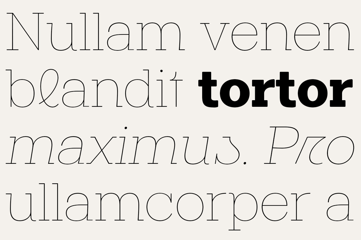 Midles Slab, a Slab Serif Font by Attract Studio (Photo 5 of 15)