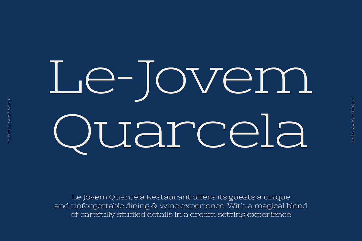 Theoris Slab Serif Font, a Slab Serif Font by Genetype (Photo 3 of 8)