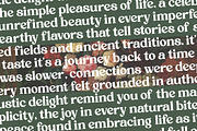 Rustic Delight - Bold Serif Font, a Serif Font by timelesstype.co (Thumbnail 14 of 20)