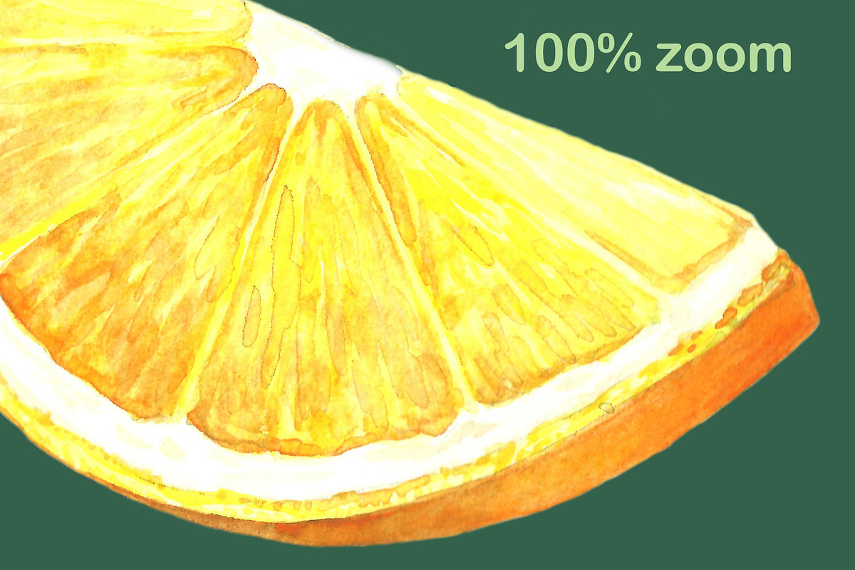 Watercolor oranges, an Illustration by Art Watercolor (Photo 2 of 5)