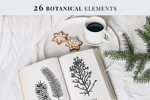 Christmas Elements. Winter Bundle