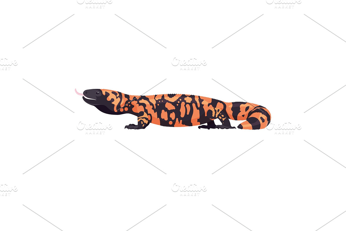 Gila monster lizard animal in, an Animal Illustration by Shanvood art