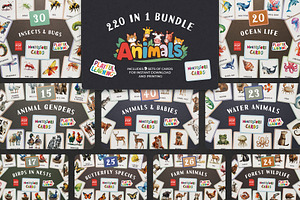 Animals Montessori Cards Bundle, an Education Illustration by Pix Cafe