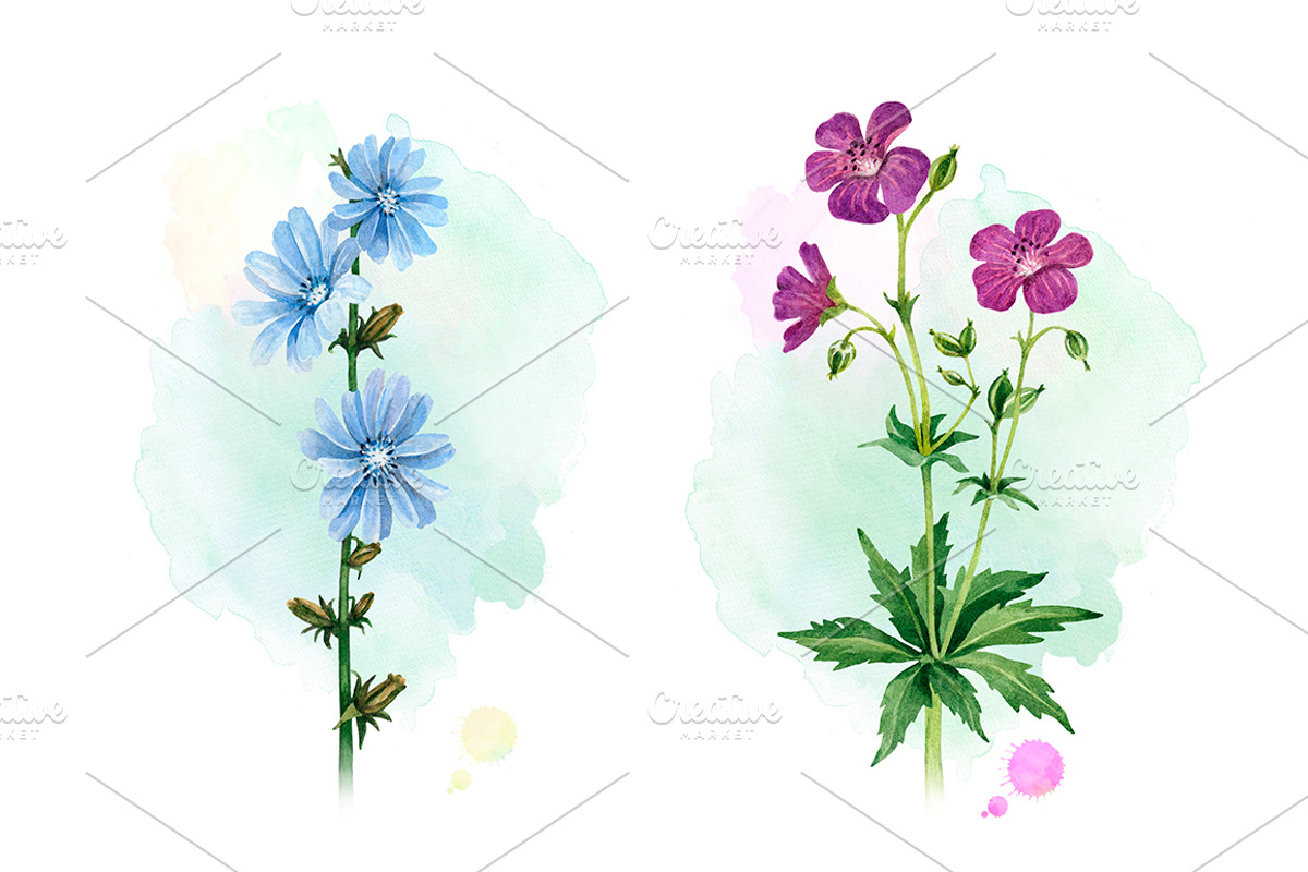 Watercolour wild nature, a Pattern Graphic by Sundra (Photo 18 of 19)