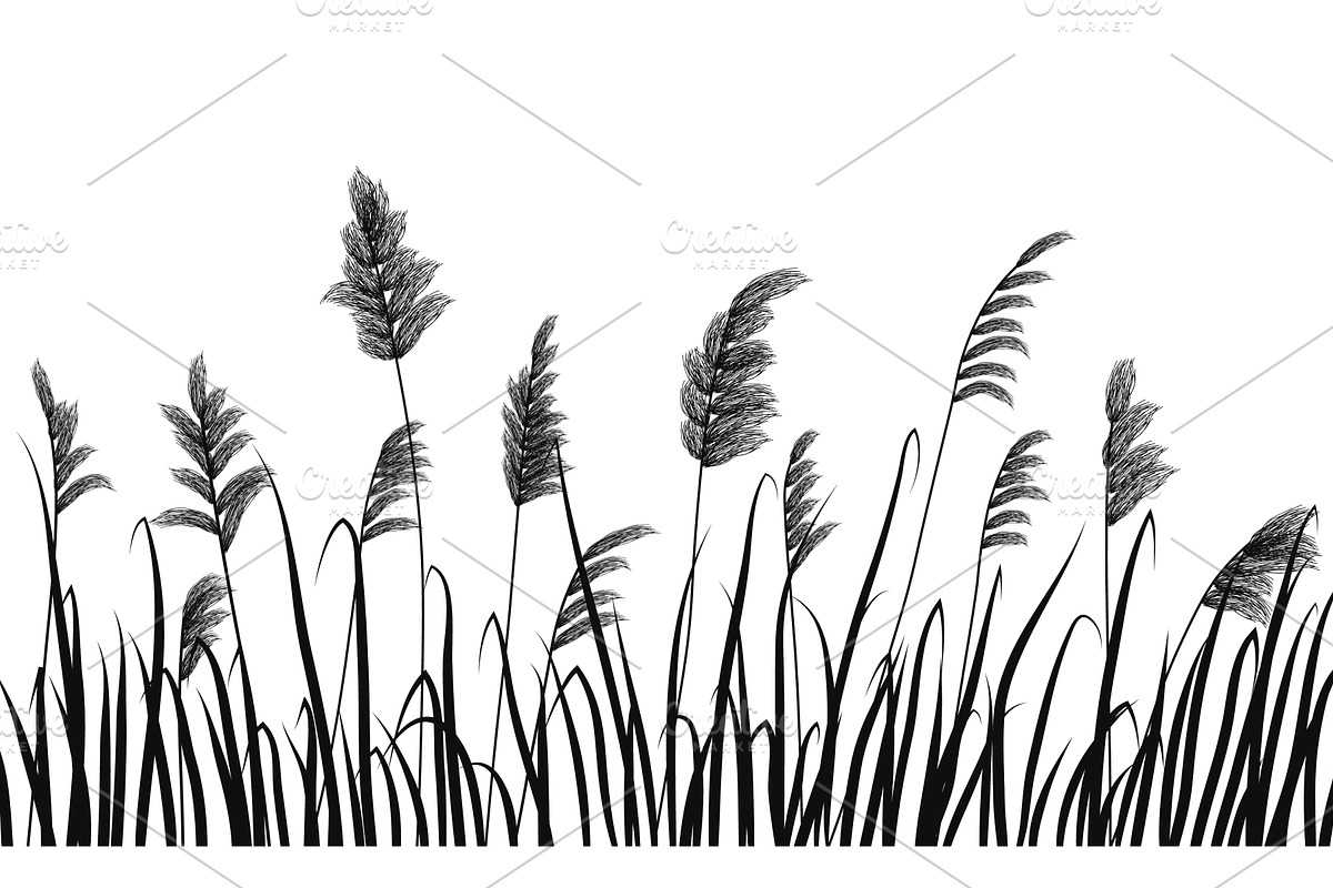 Silhouette of reeds and marsh grass, an Illustration by Ederella