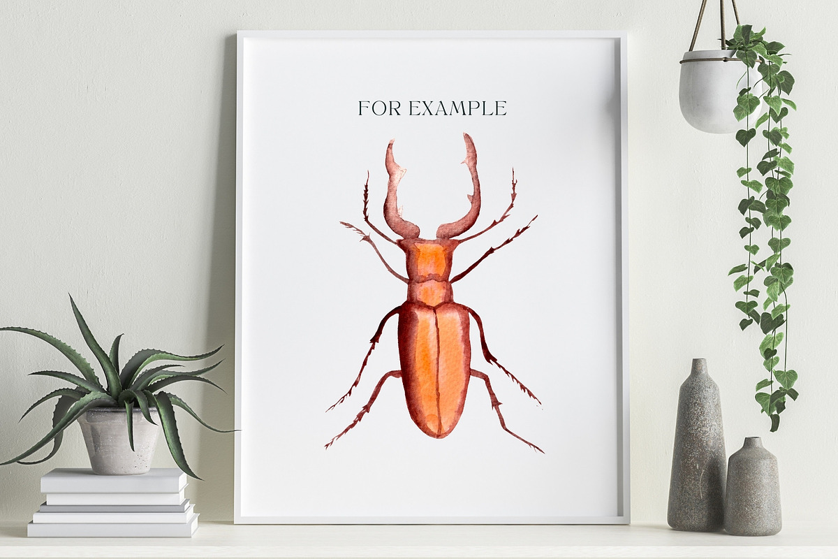 Watercolor Insects, Biological Set, an Illustration by Mia Digital (Photo 3 of 5)