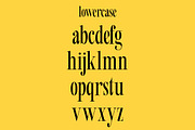 Beachwalk | Elegant Retro Serif, a Serif Font by Muntab_Art (Thumbnail 12 of 13)