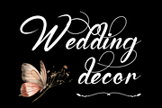 Emotionally Calligraphy Font, a Script Font by 177Studio (Thumbnail 5 of 8)