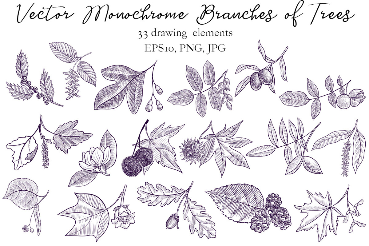 Vector Monochrome Branches of Trees, an Illustration by cat_arch_angel (Photo 5 of 12)
