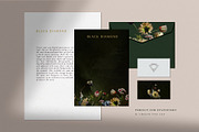 Black Diamond - Digital Graphics, an Illustration by Create The Cut (Thumbnail 12 of 14)